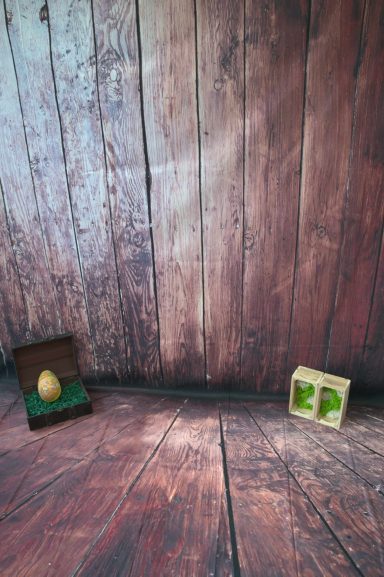 Holzkiste mit einem Ei links und eine grüne Box rechts auf einem hölzernen Boden.